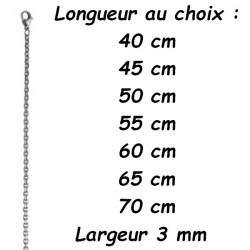 Chaine acier forçat 3 mm DB 1409