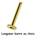 Barre labret 1,2 mm titane doré or fin G23, à visser interne 0,8 mm TGPINMLBD3-PINS