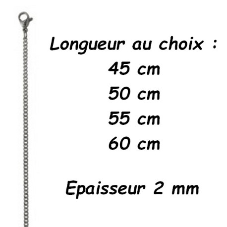 Chaine acier gourmette maillons 2 mm DB 1402