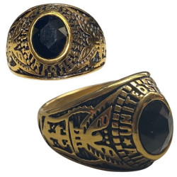 Bague américaine chevalière brillant noir sigle air force acier doré HBAT0635D-N