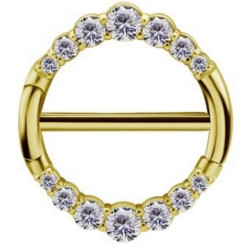 Bijou téton avec contour anneau différents strass- barre 1,6 mm acier doré or fin GPSNC 17