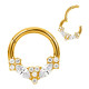 Anneau avec marquise fleurs strass blancs face contour sertis pour septum / oreille titane doré ASTM F136 G 23 TGPBHJ 025