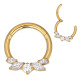 Anneau avec marquise 5 strass blanc face contour sertis pour septum / oreille titane doré ASTM F136 G 23 TGPBHJ 032