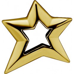 Accessoire charm étoile pour personnaliser bijoux en acier doré or fin GPABH 09